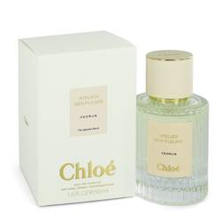 Chloe Cedrus Eau De Parfum Spray By Chloe